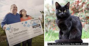 Couple Claims Stray Black Cat Was Their Lucky Charm In Winning $1.2 Million
