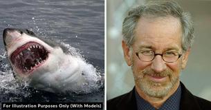 Steven Spielberg 'Regrets' Sharks Being 'Mad' At Him for 'Jaws' Movie