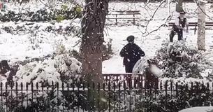 Polizeibeamte sorgen mit Schneeballschlacht im Park für Kritik