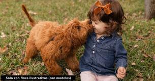 Una madre pide a todos los dueños de mascotas que dejen de decir "bebé peludo": "Los niños y los perros no son lo mismo"