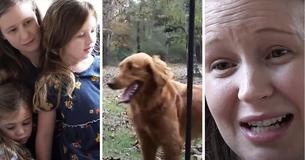 Golden Retriever Dubbed Hero Dog For Protecting Two Sisters Who Went Missing In The Woods