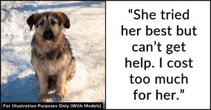 Homeless Owner Leaves Desperate Note In Abandoned Dog’s Collar Prompting Shelter To Reunite & Help Them Both