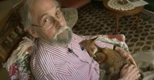 Retiree Takes In Hurt Fox – His New Furry Buddy Plays Ball With Him & Sleeps In His Arms After Recovery