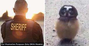 Police Officer Finds Baby Owl And Has Cute Chat With Her