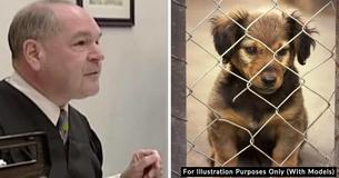 Clever Judge Turns Tables On Animal Abusers With Dose Of Abusers' Own Medicine