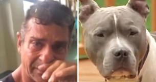 Dog 2 Days Away from Being Put Down At Shelter When Owner He Was Stolen from One Year Before Finds Him