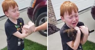 Un garçon de 6 ans économise pour pouvoir acheter un chiot, lorsque ses grands-parents lui demandent de tendre les mains