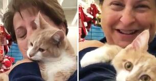 Shelter Cat Rescued From Death Row Keeps On Hugging And Licking His New Mom