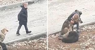 Kleiner Junge hält auf Schulweg an, um streunende Hunde zu umarmen, und berührt mit seiner Freundlichkeit die Herzen der Menschen