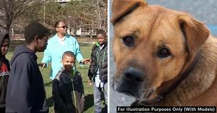 4 Boys Save Neglected Dog Who Was Tied To Abandoned House With A Bungee Cord