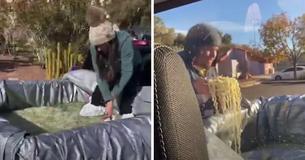 Couple Who Fed Homeless Person From Their Pickup Truck Got Dragged On The Internet