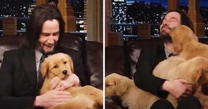 Keanu Reeves Struggles To Hold Precious Pups Together & Fans Can’t Handle The Cuteness