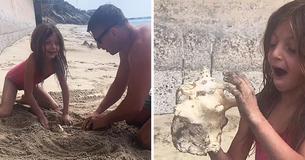 Thoughtful Dad Hides Seashells On The Beach So He & His Daughter Can Find Them Together