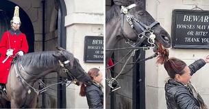 Woman’s Hair Gets Chomped By King’s Guard Horse After Getting Too Close