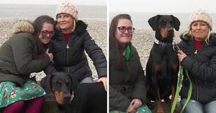 Dog Saves Owner's Life After Sniffing Out Her ‘One In 22 Million’ Kidney Donor Match At The Beach