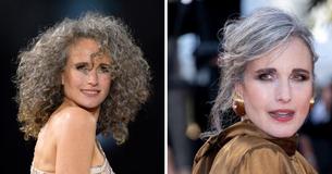 At 65, Andie MacDowell Proves Gray Hair Can Elevate Makeup-Free Styles & Red Carpet Looks