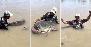 Angler Hooks ‘Biggest’ Catfish He’s Ever Seen That Breaks Record With Its 9-Foot Length After 43 Minutes