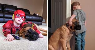 Photo Of Toddler Joined By His Dog During Timeout Warms Hearts