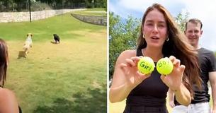 Couple Who Couldn’t Decide On Their Baby’s Sex While Doing IVF Let Their Dog Choose For Them