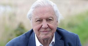 At 97, Sir David Attenborough Is ‘On Really Good Form’ Despite Nearing 100 Years Old