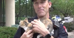 Police Officer Hailed A ‘Hero’ After Rescuing & Adopting A Kitten Thrown Out Of A Vehicle