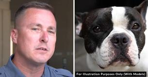 Traveler Criticized After She Was Told She Couldn’t Fly With Her Dog & Left The Pet In An Airport Parking Lot