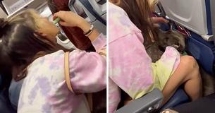 Passagier schimpft über 4-stündigen Flug neben einem "unruhigen" 22,5-Kilogramm-Hund und seinem rauchenden Besitzer