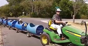 Retired Man Takes Rescue Dogs On 'Dog Train' Rides To Bring Them Joy