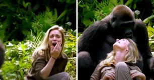 Man Ignores Warning & Sets Out To Reunite With Gorilla 5 Years After He Raised It