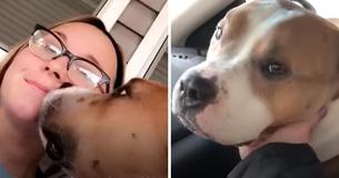 Woman Adopts Lonely Pitbull From Shelter, He Shows His Gratitude By Cuddling Her Constantly
