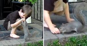 Squirrel Continues To Visit Family Who Helped Her For Years Until She Shocks Them With A Special Surprise
