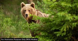 Photographer Catches Big Bear Quietly Sitting Behind Two Fishermen