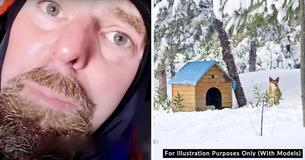 Vet Tries To Sleep In A Freezing Dog House To Show How Much Dogs Suffer If Left Outside During Winter