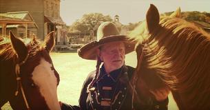 Willie Nelson Saved 70 Horses From Being Slaughtered And Let Them Roam Free On His Ranch