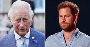 Prince Harry Speaks Out & Insists He Loves His Family In First Interview Since Visiting Cancer-Stricken King Charles