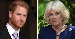 Prince Harry Reportedly Opted Not To Be In The Same Room As His 'Villain' Stepmother Camilla While Visiting His Father