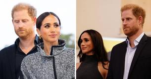Fans Call Prince Harry & Meghan Markle Portraits An ‘Insult’ That Would Have Former Queen ‘Turning In Her Grave’