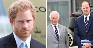 Royal Expert Points Out How Prince Harry Could Bury The Hatchet With King Charles & Prince William