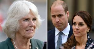 Queen Camilla Reprimanded William & Kate After They Disrespected King Charles, Source Claims