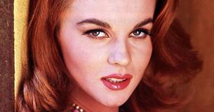 At 84, This Hollywood Icon Remains A ‘Timeless Beauty’ Despite Surviving 22-Foot Fall & Needing Facial Reconstruction