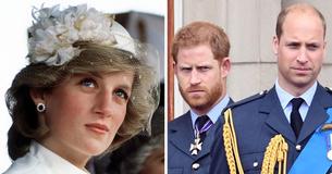 Prince Harry Opens Up On His Estranged Relationship With Prince William & How Princess Diana Would Feel About It