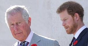 Prince Harry Questions Who Bears Greatest ‘Responsibility’ If ‘Anything Were To Happen’ To His ‘Father’s Grandchildren’