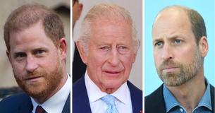 King Charles Pours Praise On Prince William, Painfully Overlooking Prince Harry In Heartfelt Speech