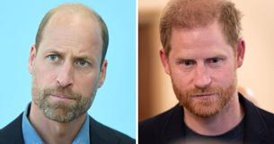Prince Harry Has Hope His Children Could One Day Serve As Working Royals But Experts Doubt Prince William Would Allow It