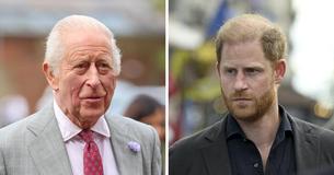 Prince Harry Comes Face-To-Face With King Charles After Months Apart