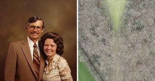 Man Plants Over 6,000 Trees for His Late Wife, The Reason Why Is Revealed Years Later
