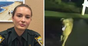 Heroic Dog Leads Police Officer to Injured 86-Year-Old Woman Who Fell During An Evening Walk