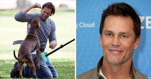 Tom Brady Stunned Fans By Revealing His New Family Dog Is Actually His Late Dog's Clone