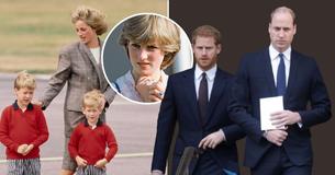 La princesse Diana aurait eu le cœur brisé par le comportement de ses fils William et Harry, selon un expert