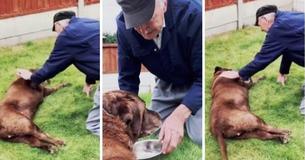 Vizinha de 90 anos vem se despedir do cachorro durante seus últimos dias